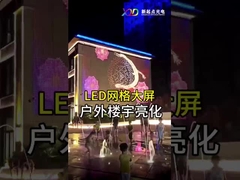 Wnętrze P100 Elastyczny ekran LED Mesh LED Dot Light Przejrzysty